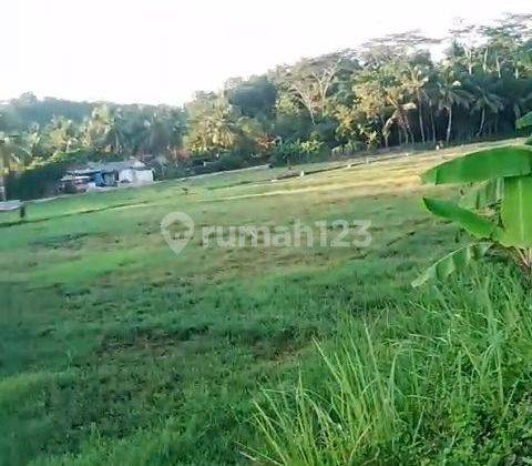 DIJUAL TANAH STRATEGIS JLN PROPINSI DI KALIPUNCANG PANGANDARAN 2