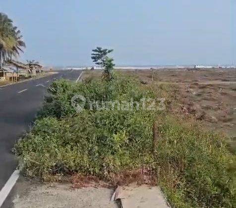 DIJUAL TANAH PREMIUM PINGGIR PANTAI BATU HIU PANGANDARAN 2