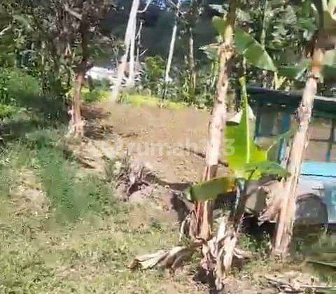 DIJUAL TANAH KEBUN COCOK UTK PERTANIAN DAN PETERNAKAN DI LEMBANG 1