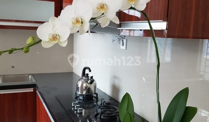 Sewa Rumah Asri Terawat 2lantai Di Gegerkalong Permai Bandung 2