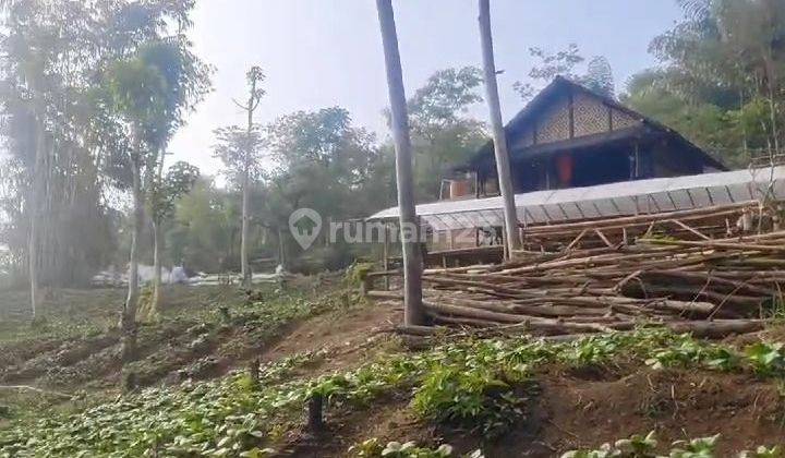 DIJUAL LAHAN KEBUN PERTANIAN AKTIF ADA VILLA DI SINDANGKERTA KBB 2