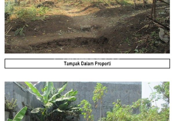 Jual Cepat Murah Tanah Kavling Strategis Pinggir Jl Raya Cigadung Jual Cepat Murah Tanah Kavling Strategis Pinggir Jl Raya Cigadung