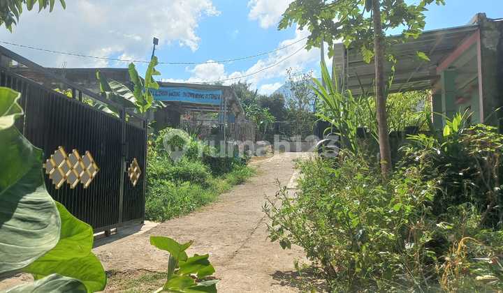 Dijual Tanah Kavling Kebun Pohon Jati Di Cibiru Kodya Bandung Dijual Tanah Kavling Kebun Pohon Jati Di Cibiru Kodya Bandung