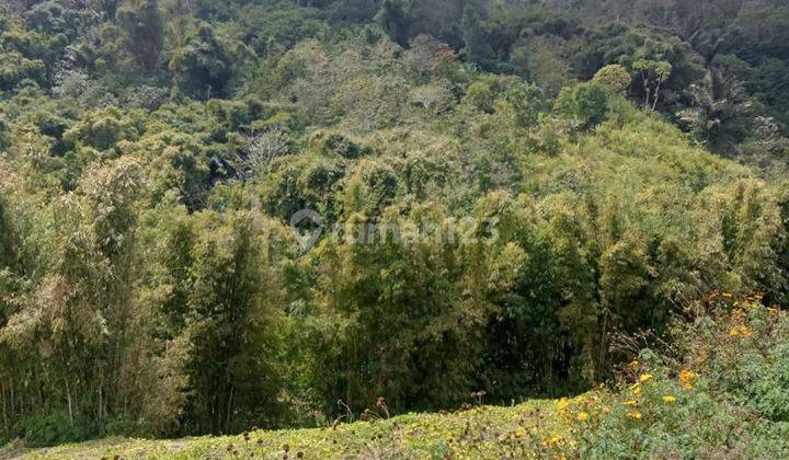 DIJUAL SGT MURAH DIBAWAH NJOP TANAH KEBUN PETERNAKAN DI GARUT