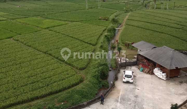 Jual Sawah Aktif Strategis Dijadikan Kawasan Wisata Curug Subang