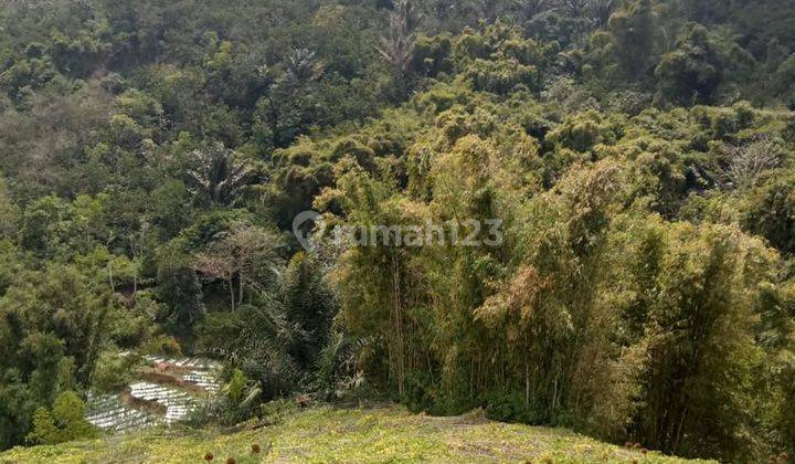 DIJUAL SGT MURAH DIBAWAH NJOP TANAH KEBUN PETERNAKAN DI GARUT 2