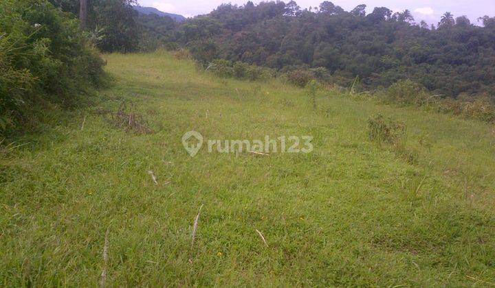 Dijuall Tanah ( mata air ) pegunungan Bunder 2 pamijahan Bogor  2
