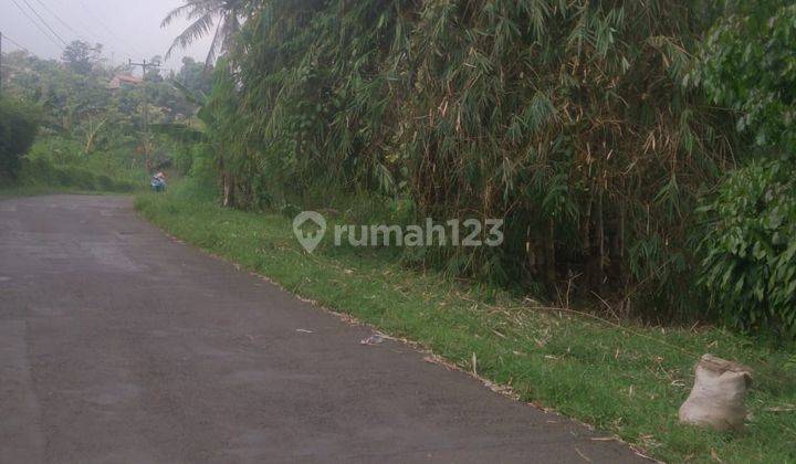 Dijuall Tanah ( mata air ) pegunungan Bunder 2 pamijahan Bogor  6