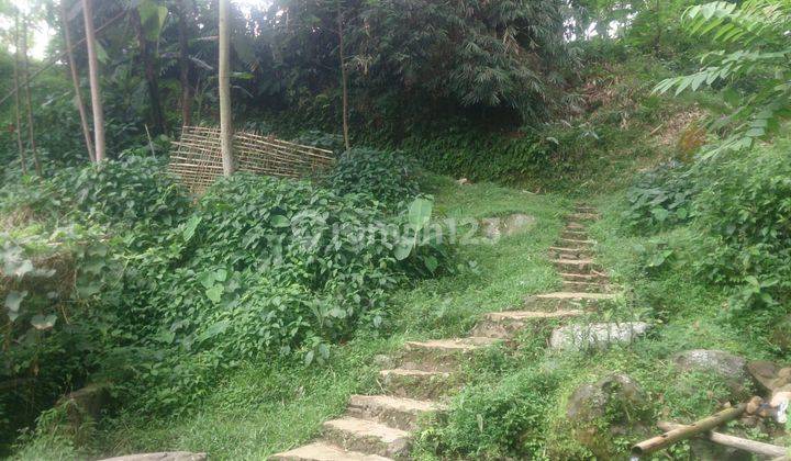 Dijuall Tanah ( mata air ) pegunungan Bunder 2 pamijahan Bogor  10
