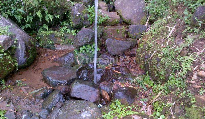 Dijuall Tanah ( mata air ) pegunungan Bunder 2 pamijahan Bogor  11