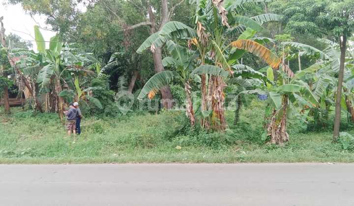 Dijual Murah Tanah Siap Bangun di Luar Kawasan Industri Mm 2100