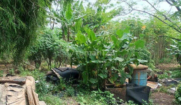 Dijual Cepat Tanah Darat Di Kelurahan Cikuwul, Bekasi 4