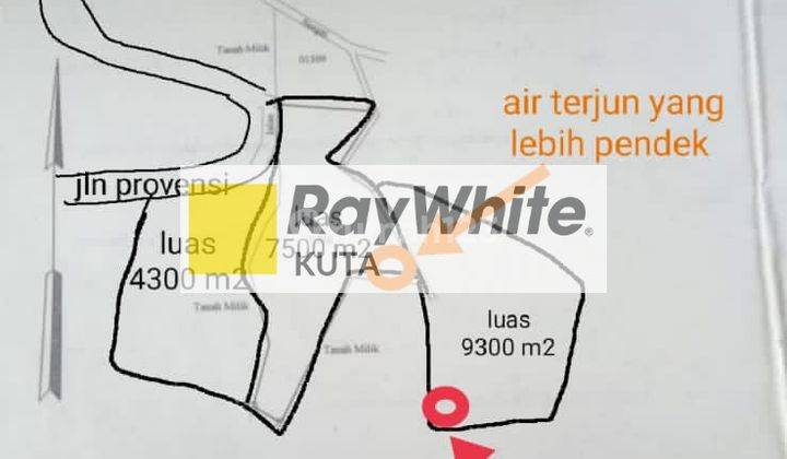 Langka Dijual Tanah Dengan Air Terjun Dan Mata Air di Munduk Bali 5