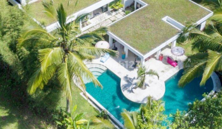 Dijual Villa Modern di Kawasan Ubud, Cocok Untuk Villa Bisnis 1