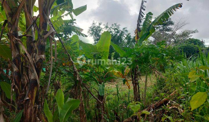 For Sale 500 m² Land in Villa Area in Jimbaran Close to the Beach 2