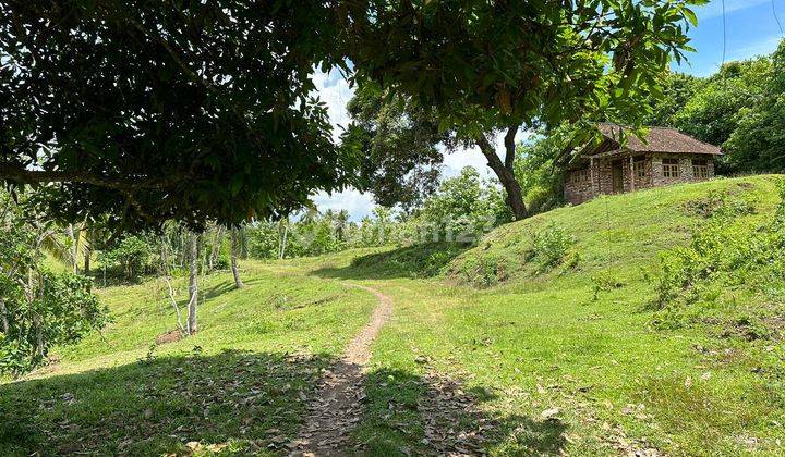 Garden land for sale near SOKA Beach, Tabanan 2