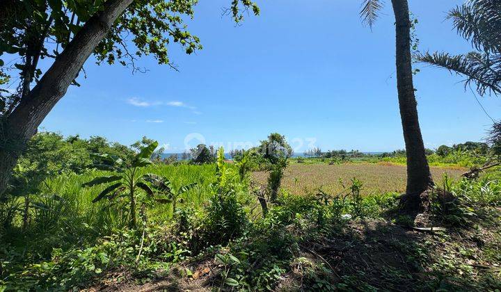 Ocean view and rice paddy view land in Keramas Gianyar for sale 2