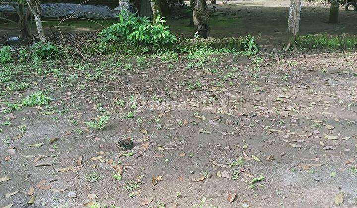 Tanah di Jalan seyegan ngino 360 SHM m² 3