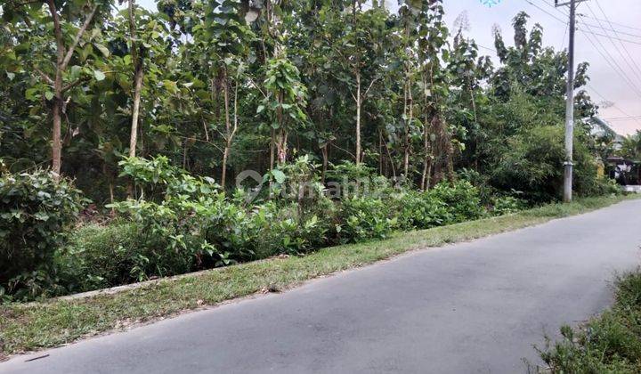 Tanah di Jalan tempel seyegan 3600 SHM m² 1