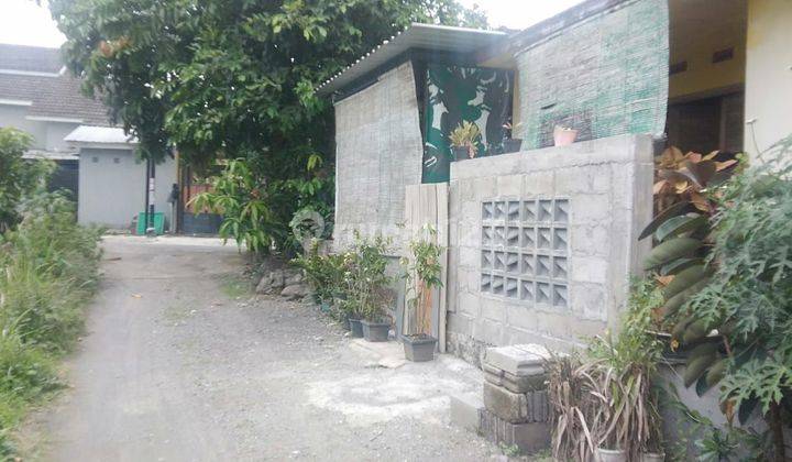 Rumah di Dijual rumah mura  dijalan subandri SHM Bagus Barat Daya 2