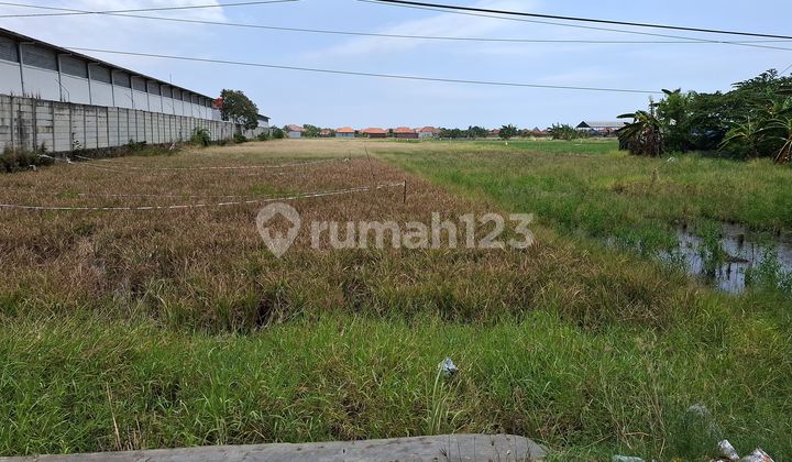 Dijual Tanah Lokasi Strategis Tepi Jalan Pantura Di Losari Cirebon Dijual Tanah Lokasi Strategis Tepi Jalan Pantura Di Losari Cirebon