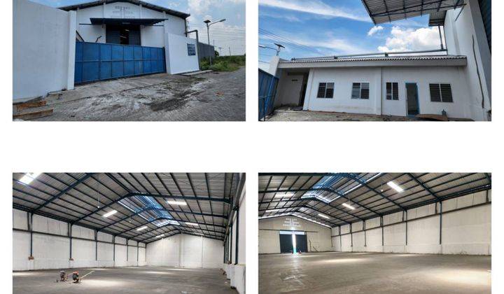 Sewa Gudang Modern Baru Full Loading Dock Romokalisari  1
