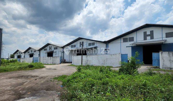 Sewa Gudang 5 Unit Jejer Di Bumi Maspion Romokalisari Double Gate 2