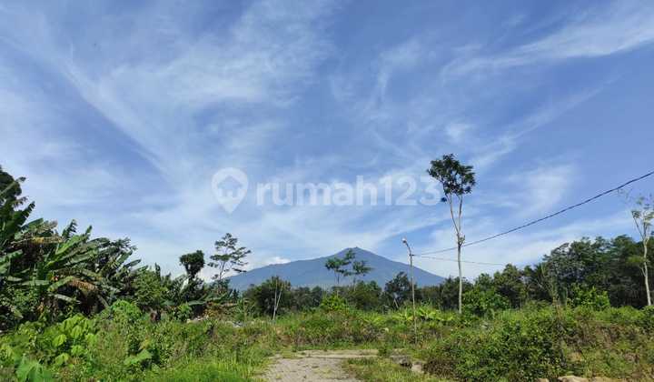 Promo Jual Tanah Kavling Lawang Malang Dekat Wisata Kebun Teh 6