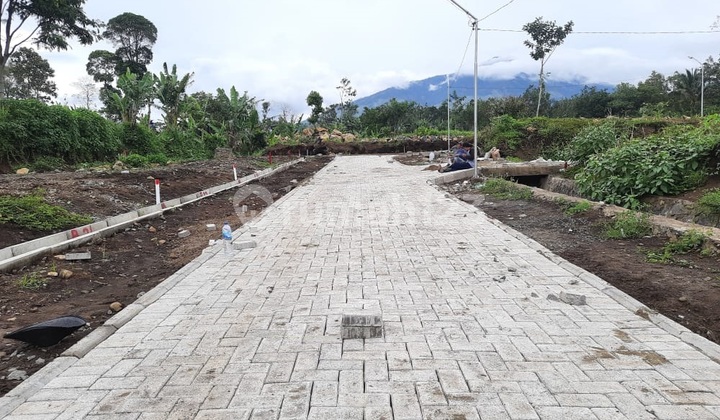 Promo Tanah Bukit Pinus Lawang Malang Dekat Wisata Kebun Teh 3