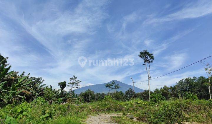 Promo Tanah Bukit Pinus Lawang Malang Dekat Wisata Kebun Teh 5