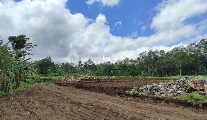 Kavling Ketindan Lawang Dekat Dengan Wisata Kebun Teh 3