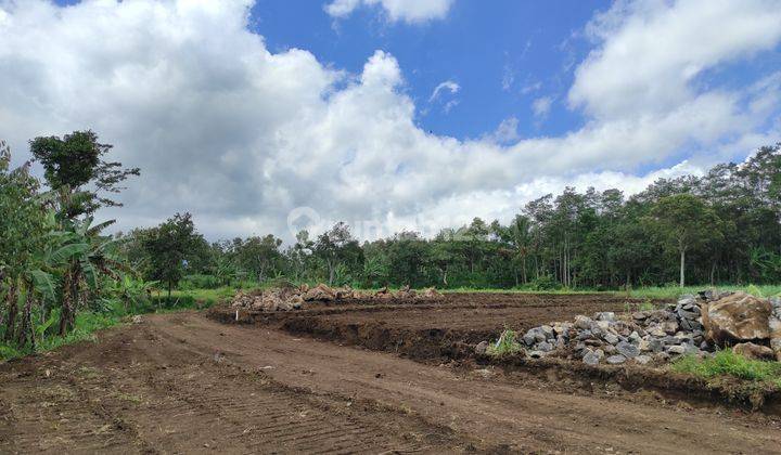 Promo jual tanah kavling bukit pinus 3 ketindan lawang 3