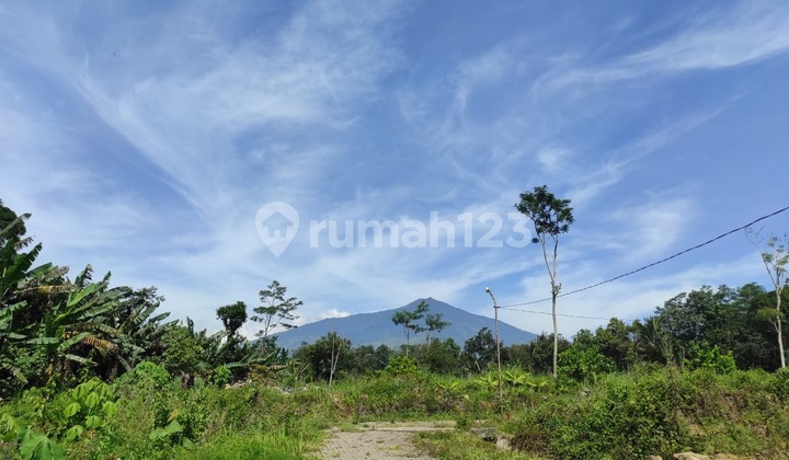 Promo jual tanah kavling bukit pinus 3 ketindan lawang 4