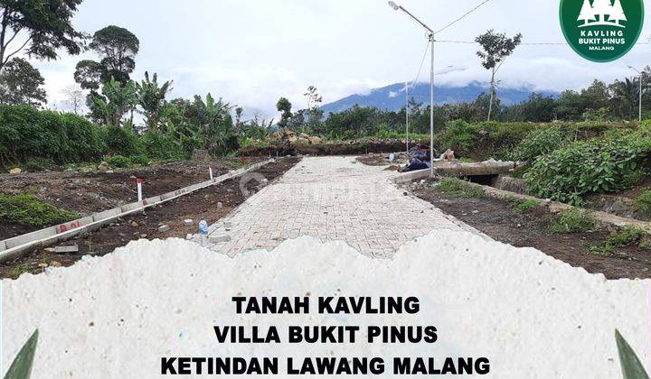 Jual tanah dekat wisata kebun teh Wonosari lawang malang 4