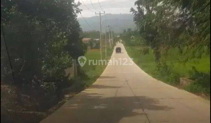 Dijual murah Tanah sawah di Cikahuripan..klapanunggal bogor  1