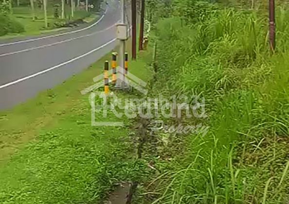 Tanah di Sidomulyo Ampel , Boyolali Lz 4791  1