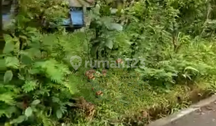 Tanah di Ampel , Boyolali Lz 4796  4