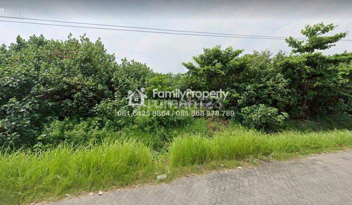 Dijual Tanah Lebar 65m di Semarang Utara  1