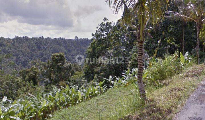 Land in Puhu Gianyar Bali Area 12.000 M2 1