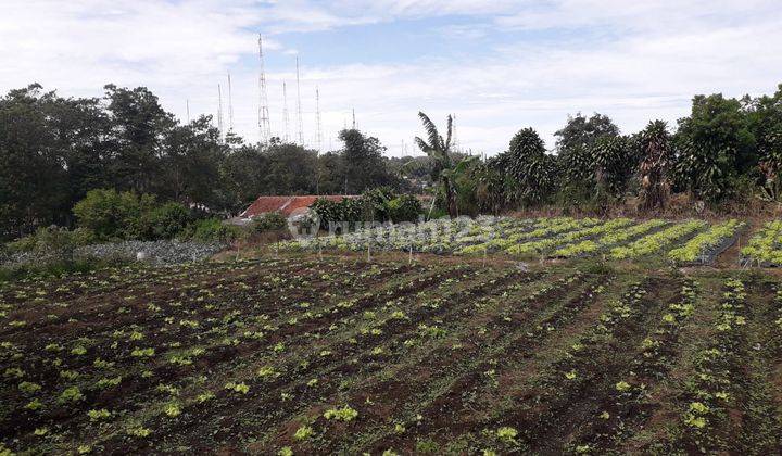 Tanah Luas di Cisarua Lembang Bandung Barat,  7