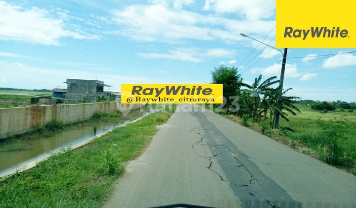 Kavling Murah di Jl Raya Cadas Daon Cocok utk Industri / Bisnis dll Kavling Murah di Jl Raya Cadas Daon Cocok utk Industri / Bisnis dll