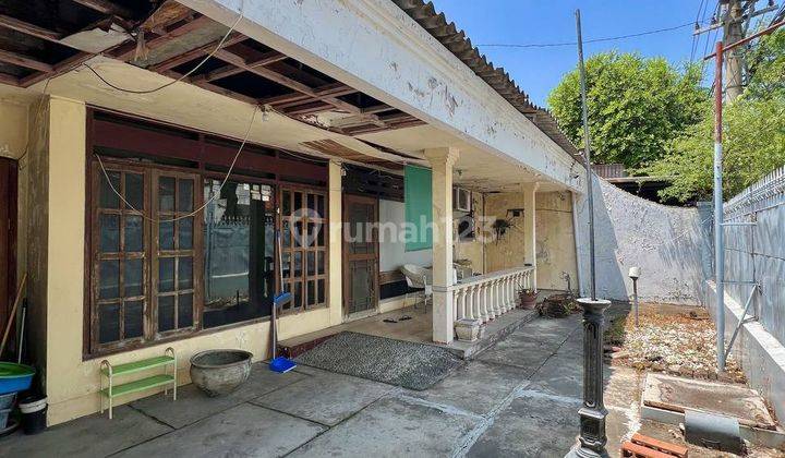 Rumah Jalan Kesumba, Taman Paliatif 1 Lantai Tengah Kota Surabaya 2