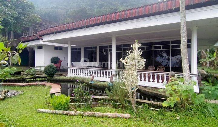 Villa Dan Rumah Walet 7 Lantai di Trawas Mojokerto Sertifikat SHM 1