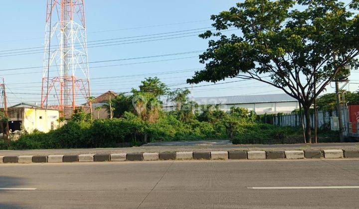 Tanah Komersil Jalan Raya Provinsi Lamongan Babat Sudah Urug 1