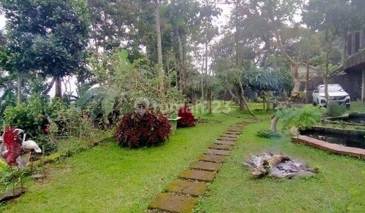 Villa Dan Rumah Walet 7 Lantai di Trawas Mojokerto Sertifikat SHM 2