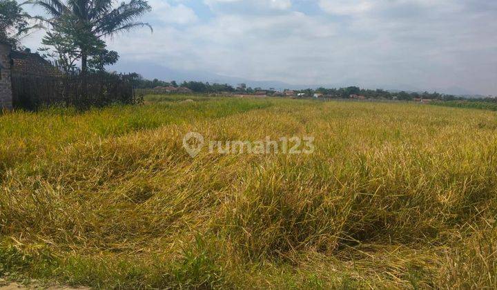 Dijual cepat murah tanah di girimukti padalarang Bandung 5