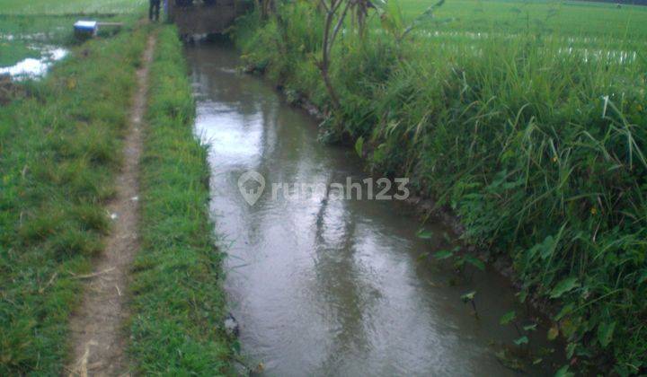 Dijual tanah sawah produktif di kab purworejo jawa tengah
 2