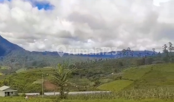 Dijual Tanah Kebun di Mekar Wangi Sindangkerta Kab Bandung Barat