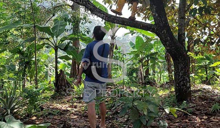 Dijual Tanah Kebun Di Cipatat Kab Bandung Barat 1