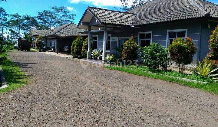 Peternakan sapi import dijual berikut inventarisnya 6